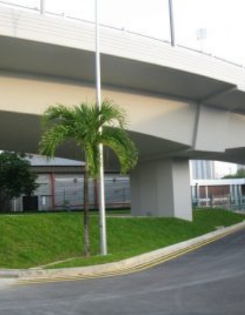 NUS FLYOVER