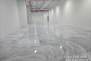 Moisture barrier & Self-leveling epoxy